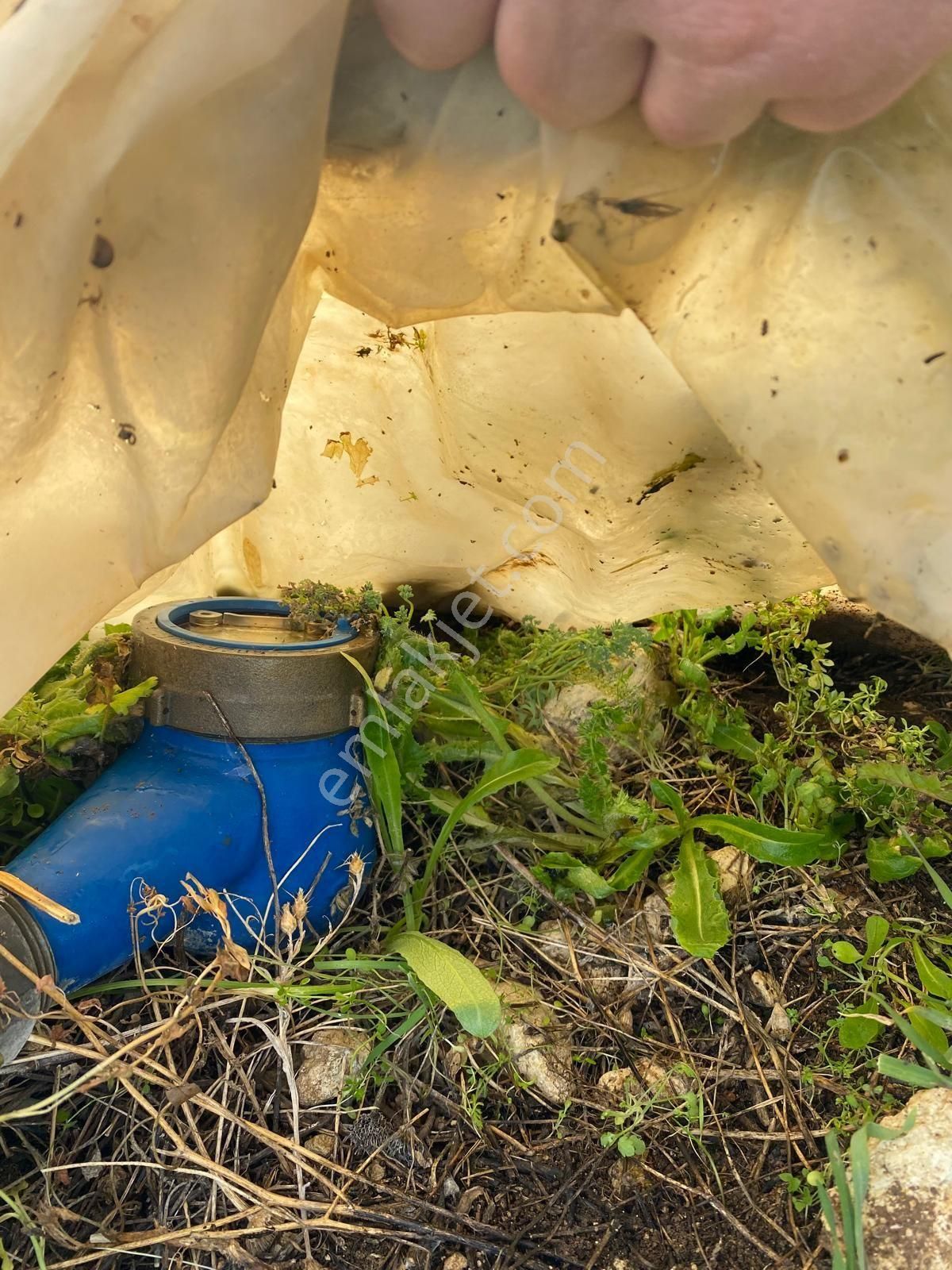 Buldan Güneyde Satılık Üzüm Bağı - Görsel 6