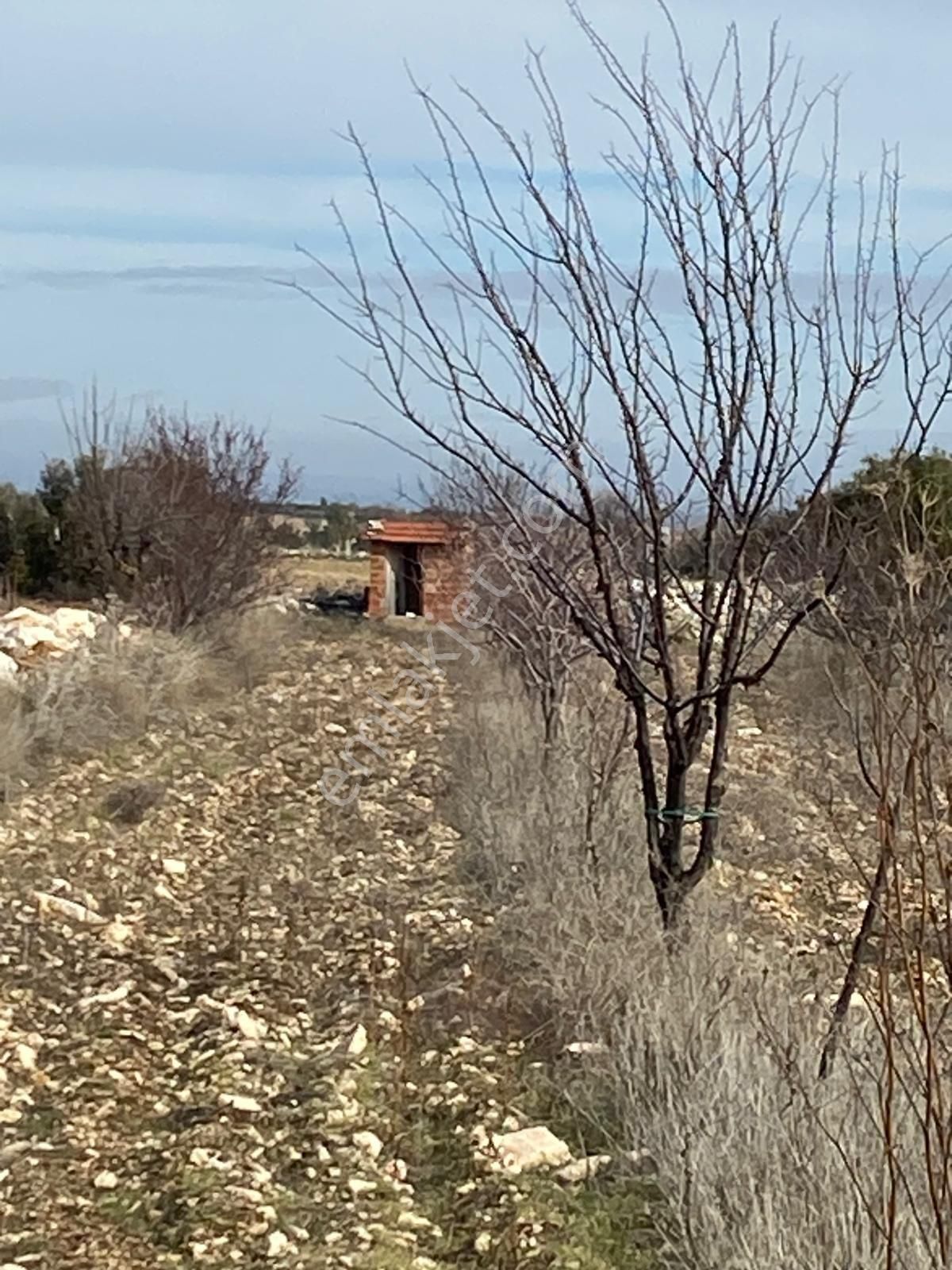 Buldan Güneyde Satılık Üzüm Bağı - Görsel 7