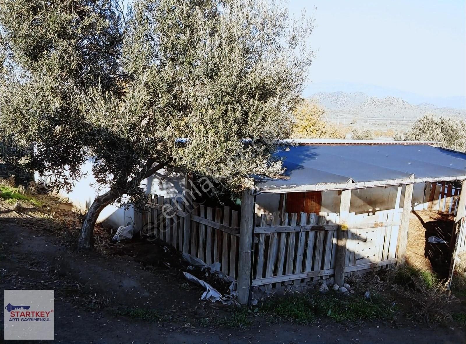 İzmir Dikili Demirtaş Köyünde 10231m2 Yol Cepheli Satılık Tarla - Görsel 20