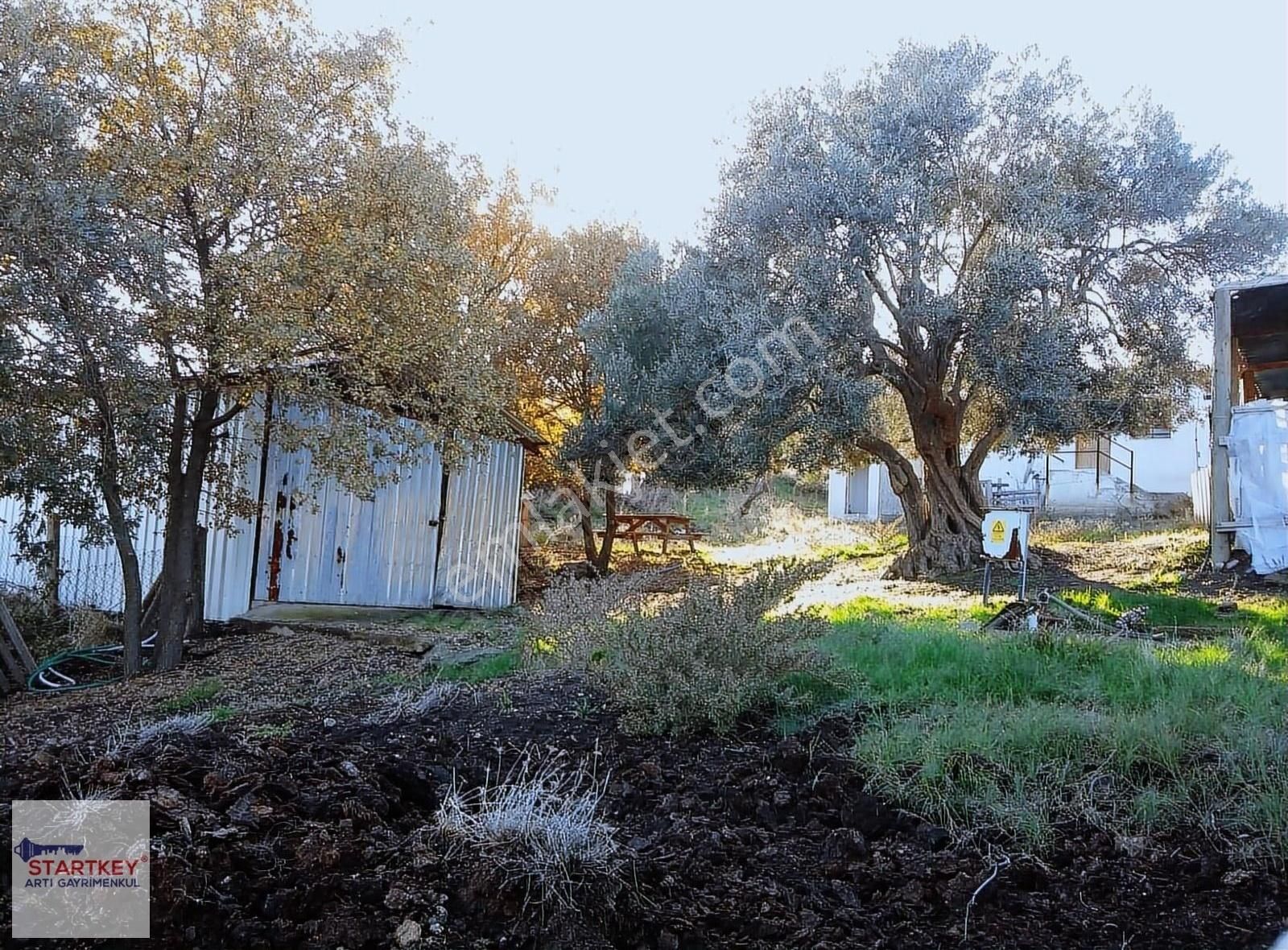 İzmir Dikili Demirtaş Köyünde 10231m2 Yol Cepheli Satılık Tarla - Görsel 2