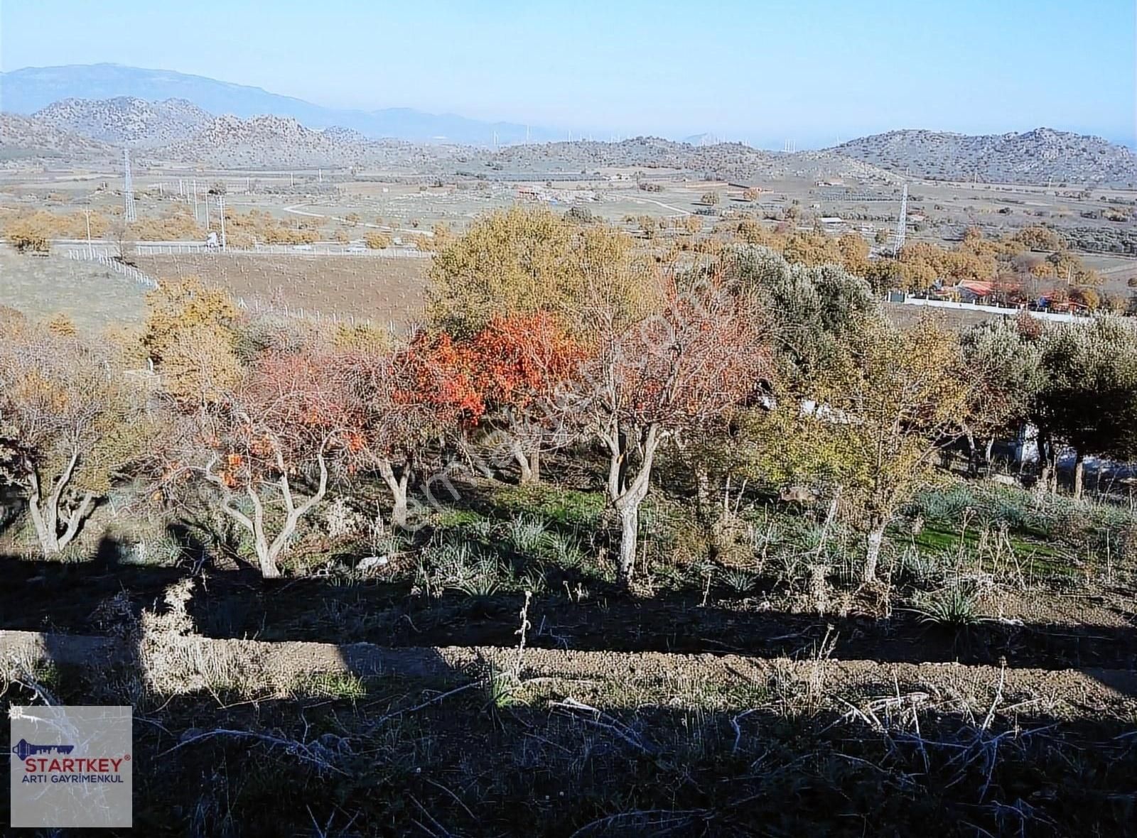 İzmir Dikili Demirtaş Köyünde 10231m2 Yol Cepheli Satılık Tarla - Görsel 9