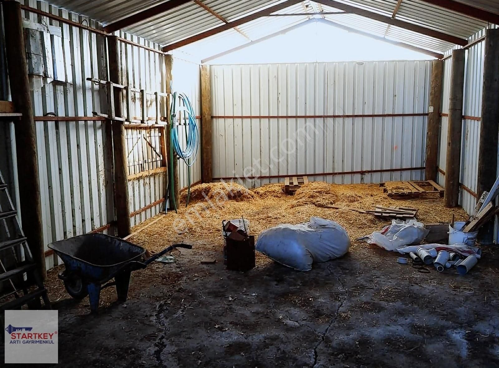 İzmir Dikili Demirtaş Köyünde 10231m2 Yol Cepheli Satılık Tarla - Görsel 33