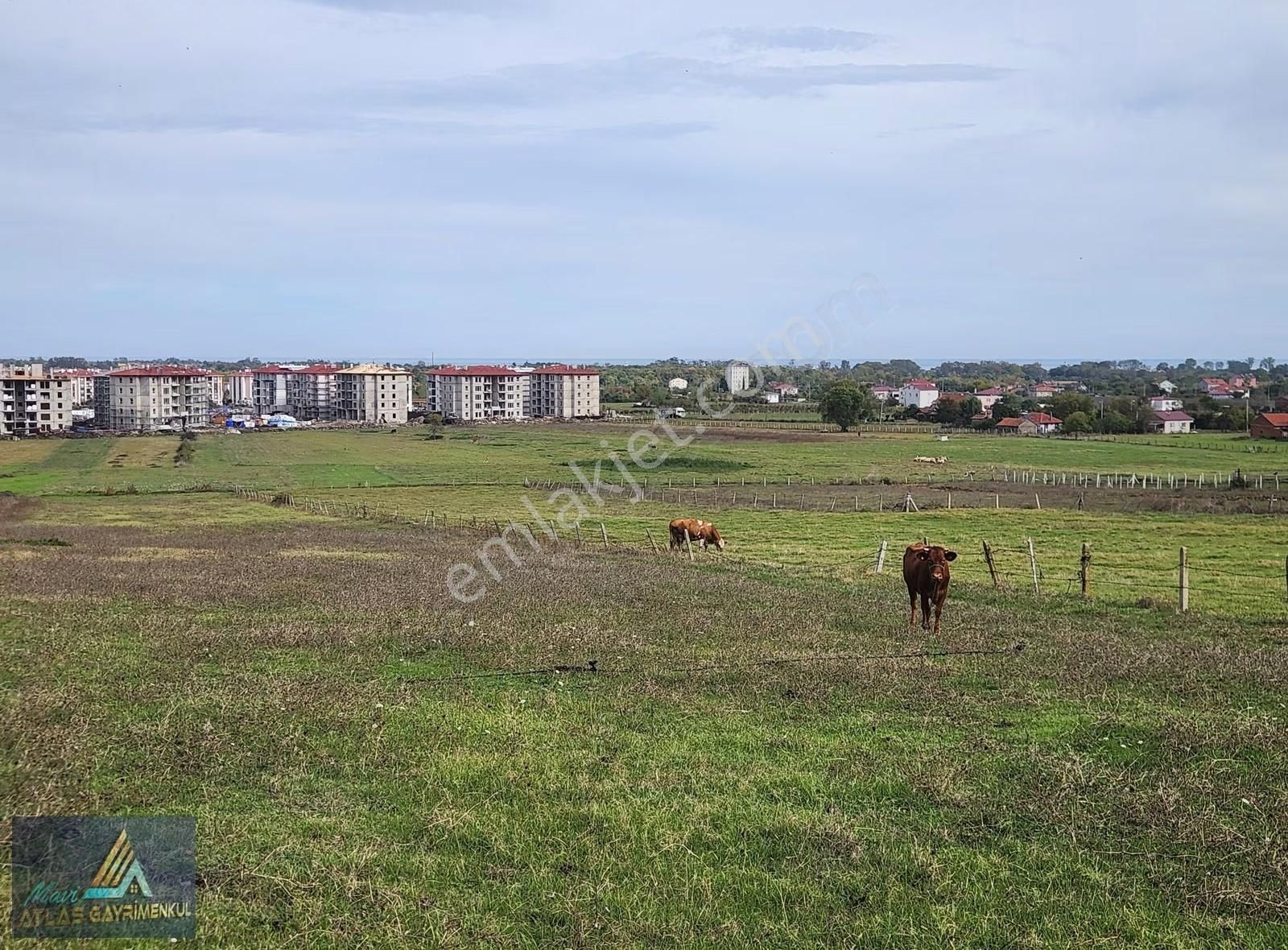 Mavi Atlas' 19 Mayıs Yeşilova'da Kiralık Arsa