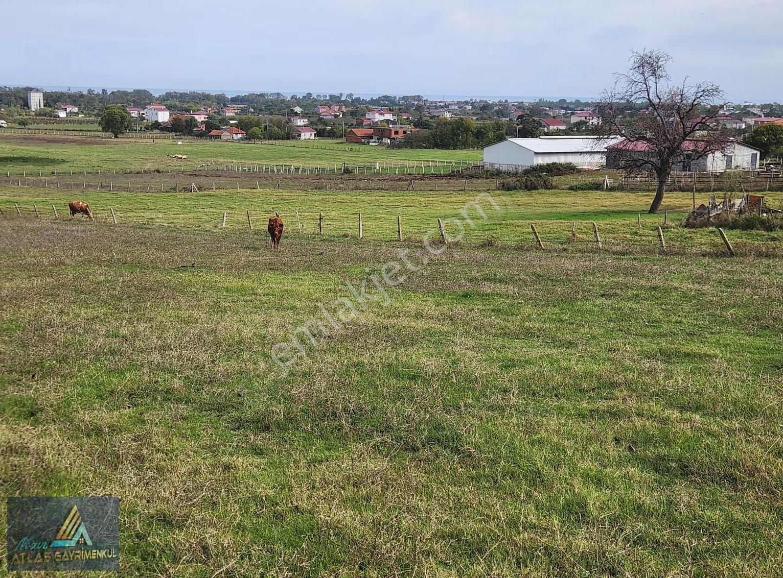 Mavi Atlas' 19 Mayıs Yeşilova'da Kiralık Arsa - Görsel 3