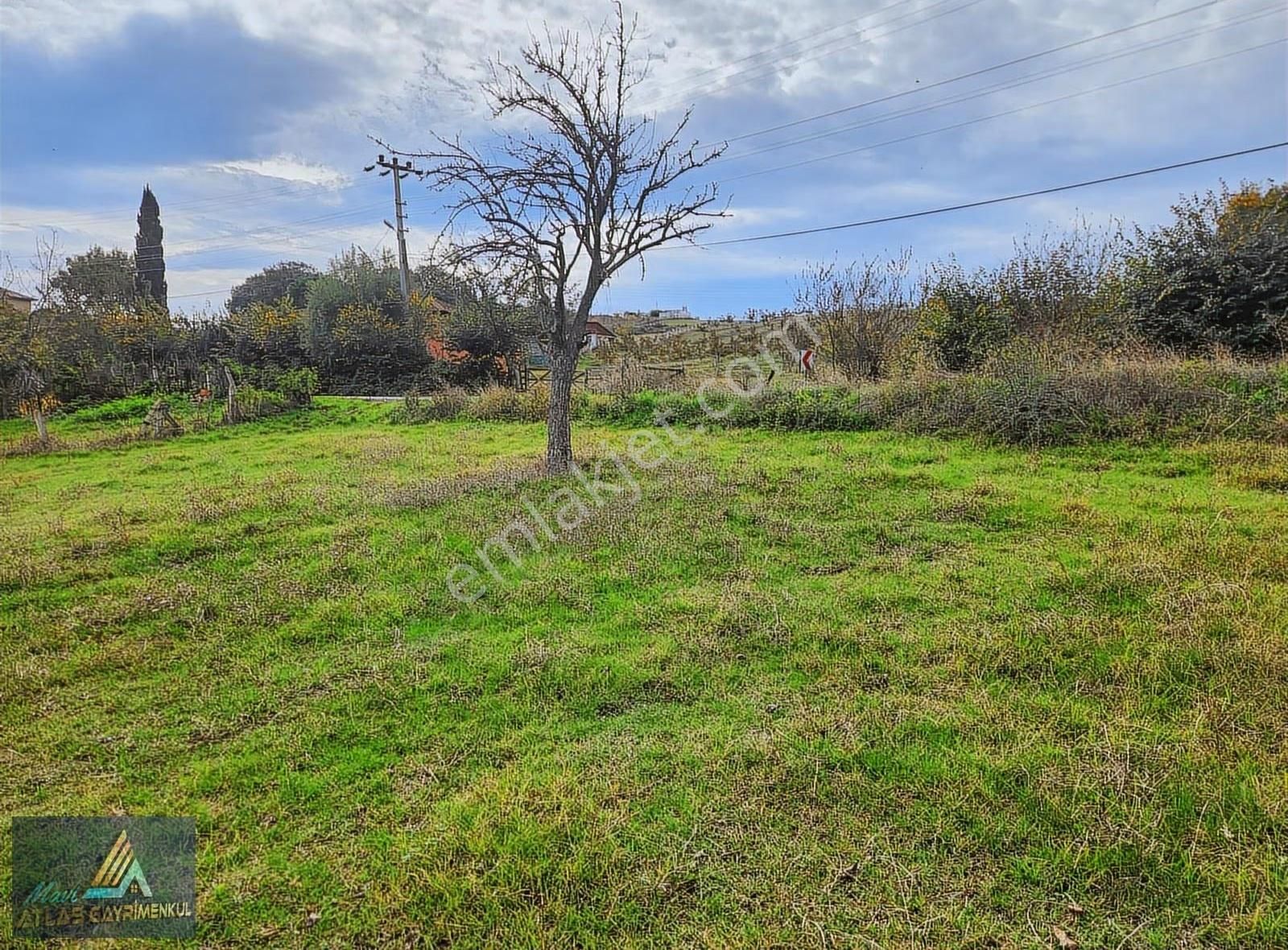 Mavi Atlas' 19 Mayıs Yeşilova'da Kiralık Arsa - Görsel 9