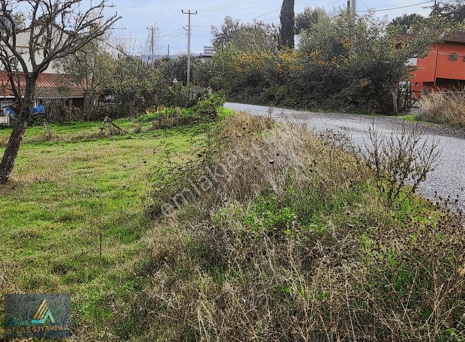 Mavi Atlas' 19 Mayıs Yeşilova'da Kiralık Arsa - Görsel 4