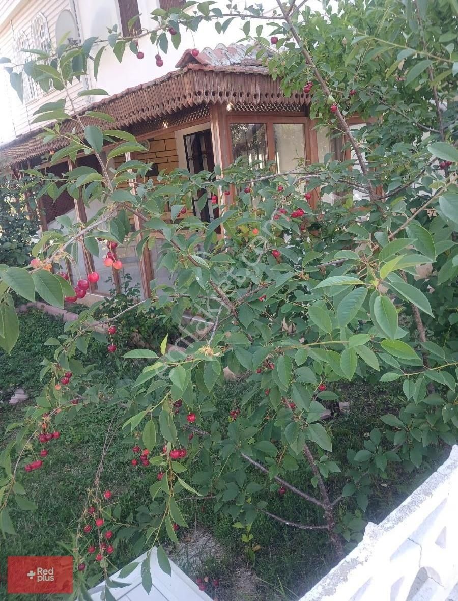Tekirdağ Yeniçiftlik Müstakil Yazlık - Görsel 22