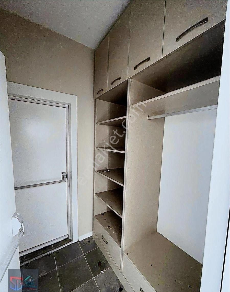 Germirde Huzurlu Bir Yaşam - Görsel 4