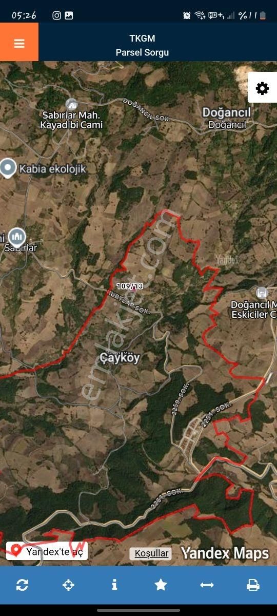 İmar Sınırında - Görsel 2