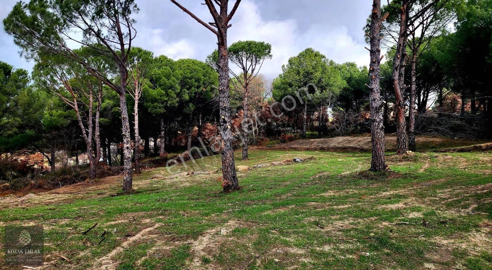 Bergama Kozak Kıranlı İmarlı Arsa Satılık - Görsel 11
