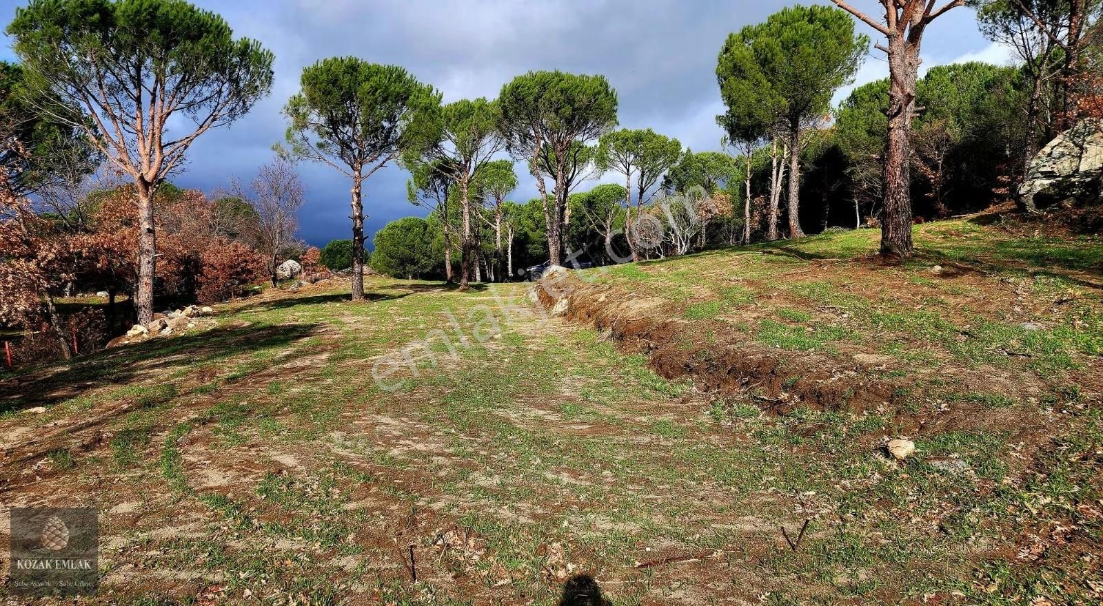 Bergama Kozak Kıranlı İmarlı Arsa Satılık - Görsel 26