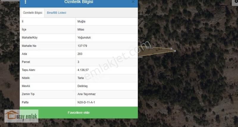 Milas Yoğunoluk'ta Satılık 4150 M2 Tarla