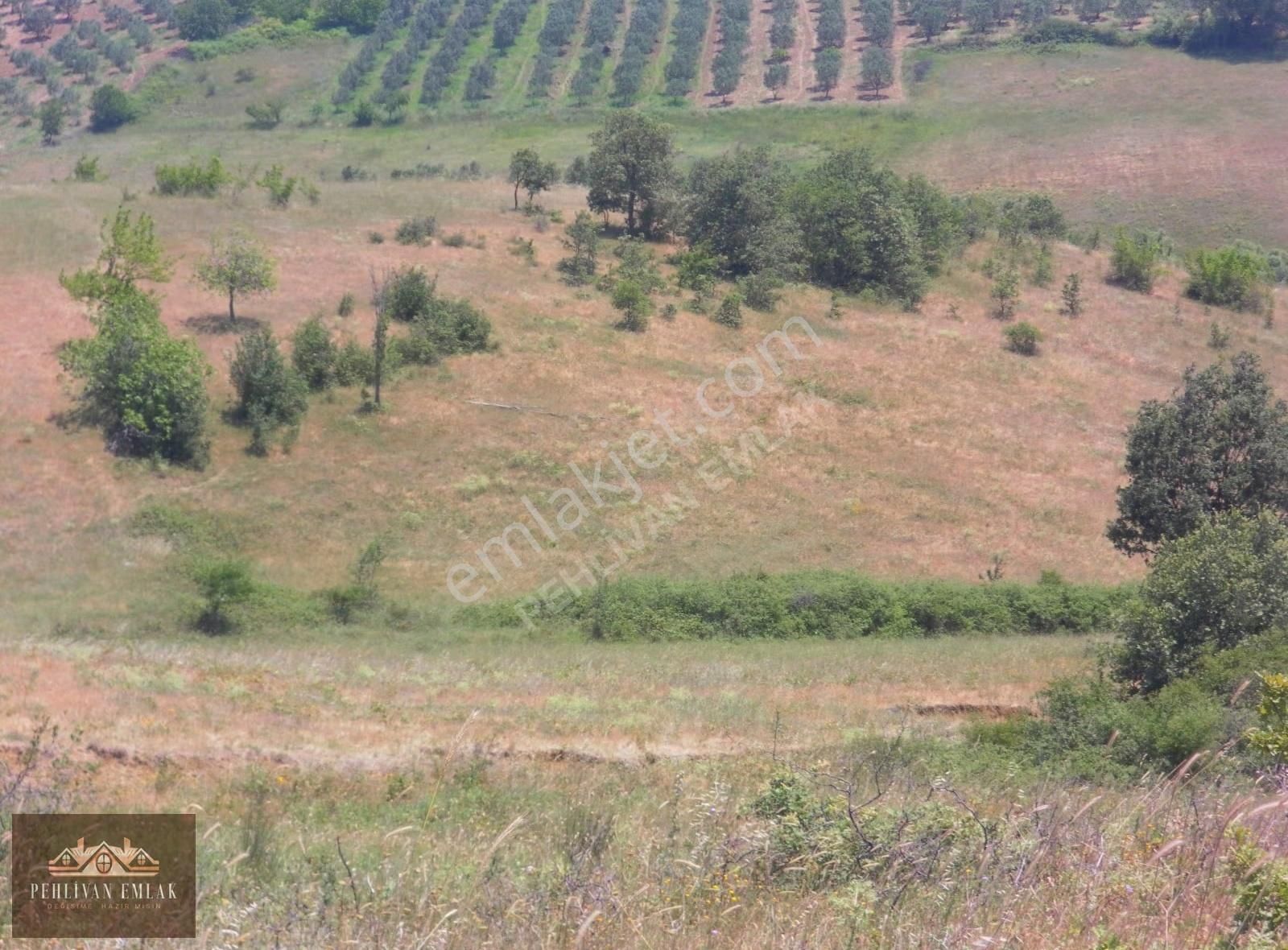 Satılık Arsa - Görsel 8