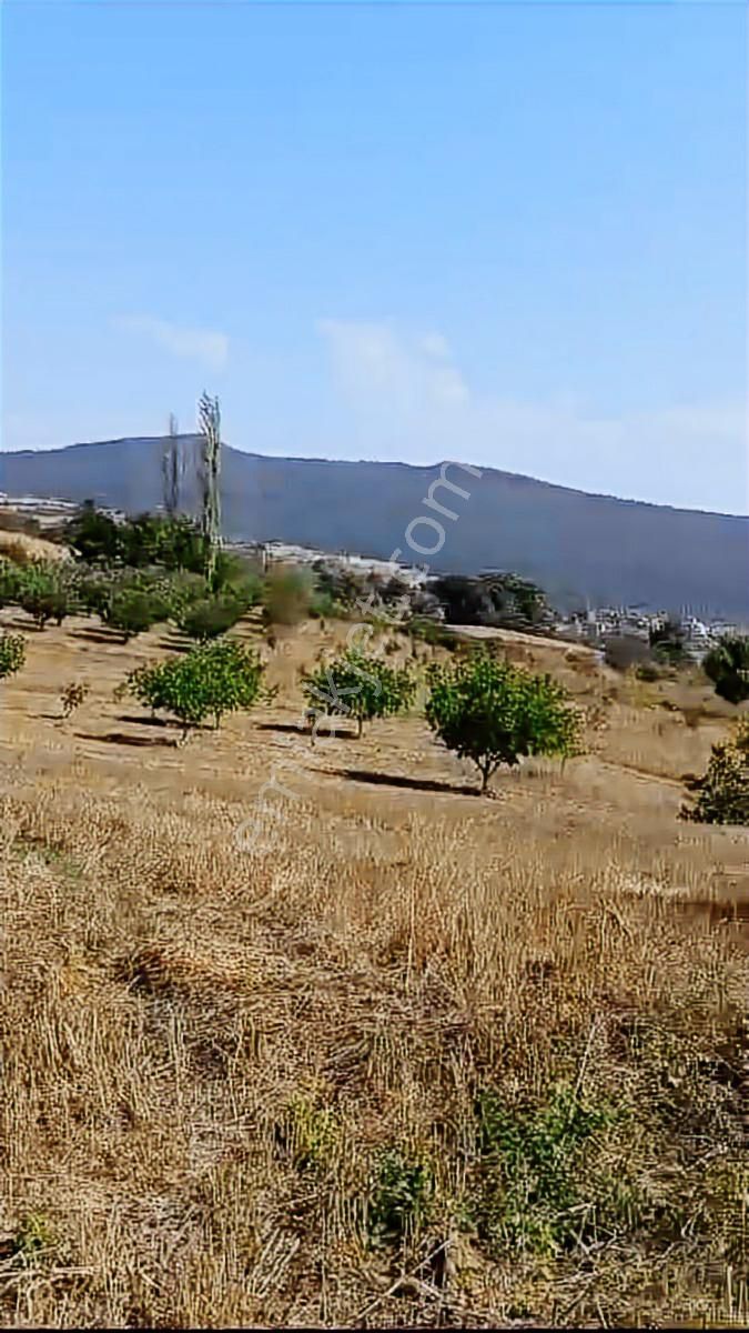 Sakarya Geyve Karacaören Satılık Arsa - Görsel 5
