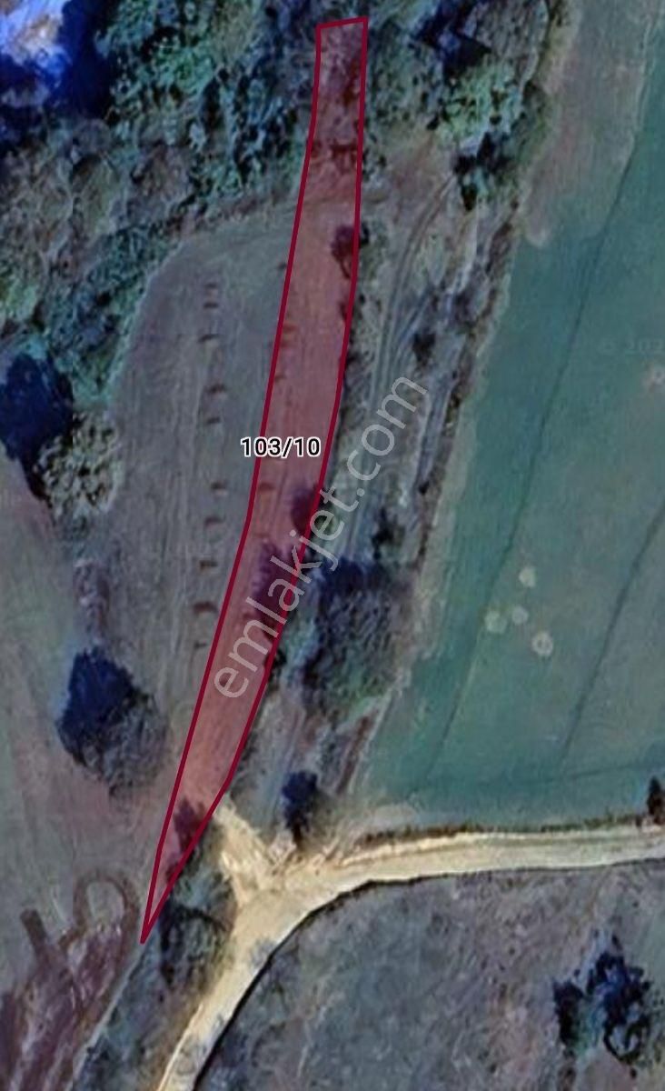 Tarcanlardan Satılık Süverlerde Gölet Manzaralı Yatırımlık Tarla