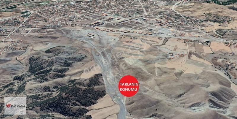 Vadi Emlak'tan Prim Yapan Bölgede Satılık Tarla - Görsel 3
