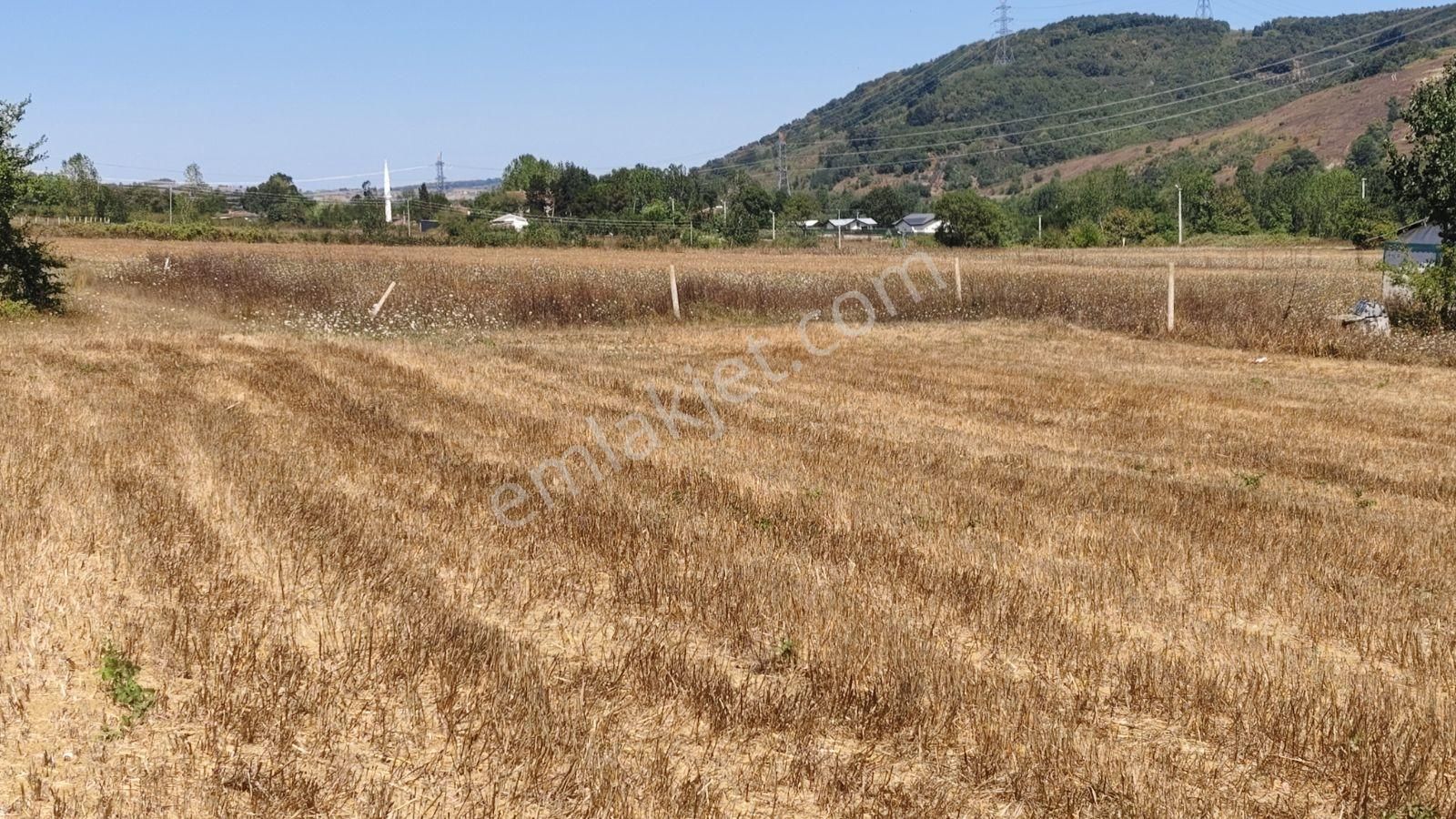 Tarcanlar'dan Satılık Kandıra Sanayinin Dibinde Yatırımlık Tarla - Görsel 3