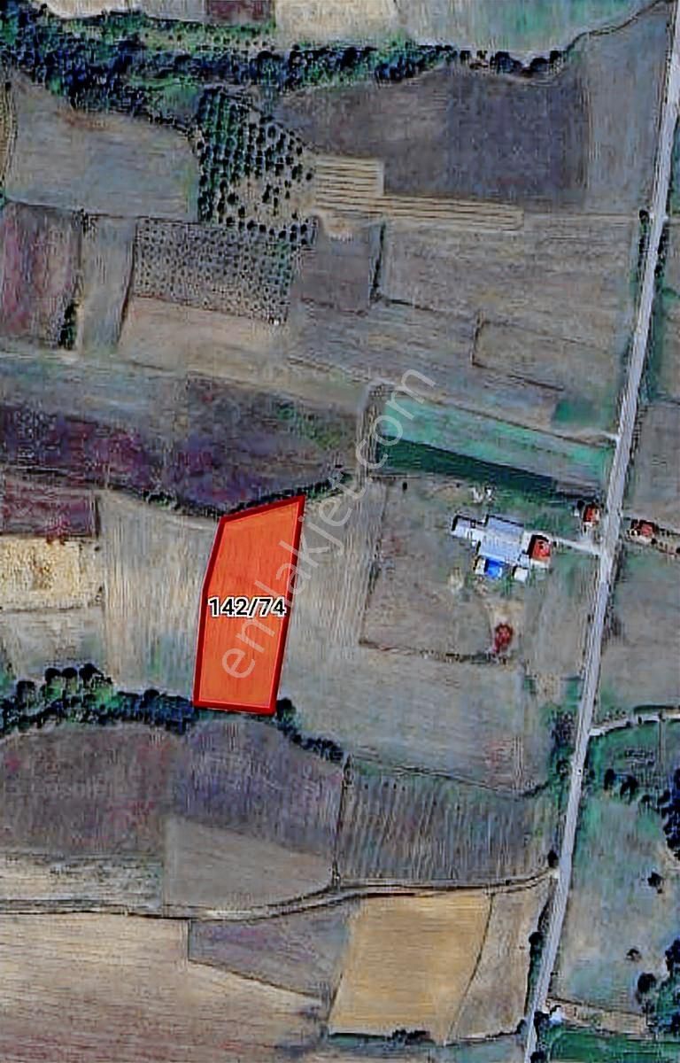 Tarcanlar'dan Satılık Kandıra Sanayinin Dibinde Yatırımlık Tarla - Görsel 4