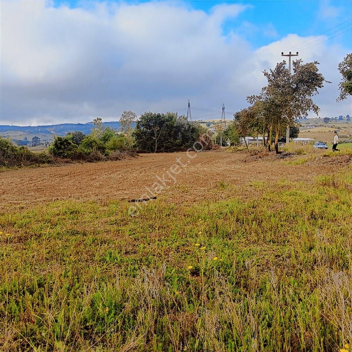 Tarcanlar'dan Satılık Kaşıkçı'da Yola Cephe 4113 Metre Tarla - Görsel 7