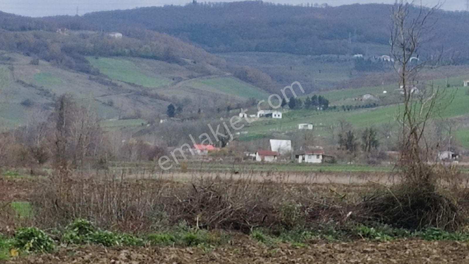 Tarcanlar'dan Satılık Kaşıkçı'da Yola Cephe 4113 Metre Tarla - Görsel 11