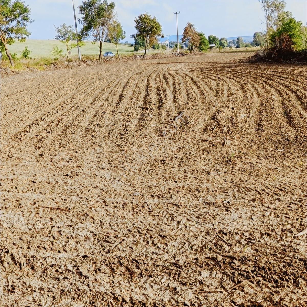 Tarcanlar'dan Satılık Kaşıkçı'da Yola Cephe 4113 Metre Tarla - Görsel 8