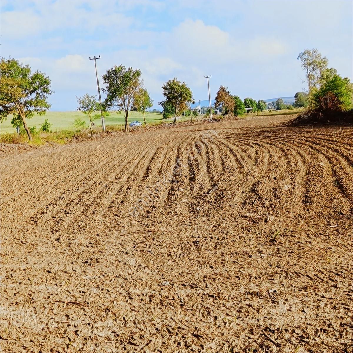 Tarcanlar'dan Satılık Kaşıkçı'da Yola Cephe 4113 Metre Tarla - Görsel 10