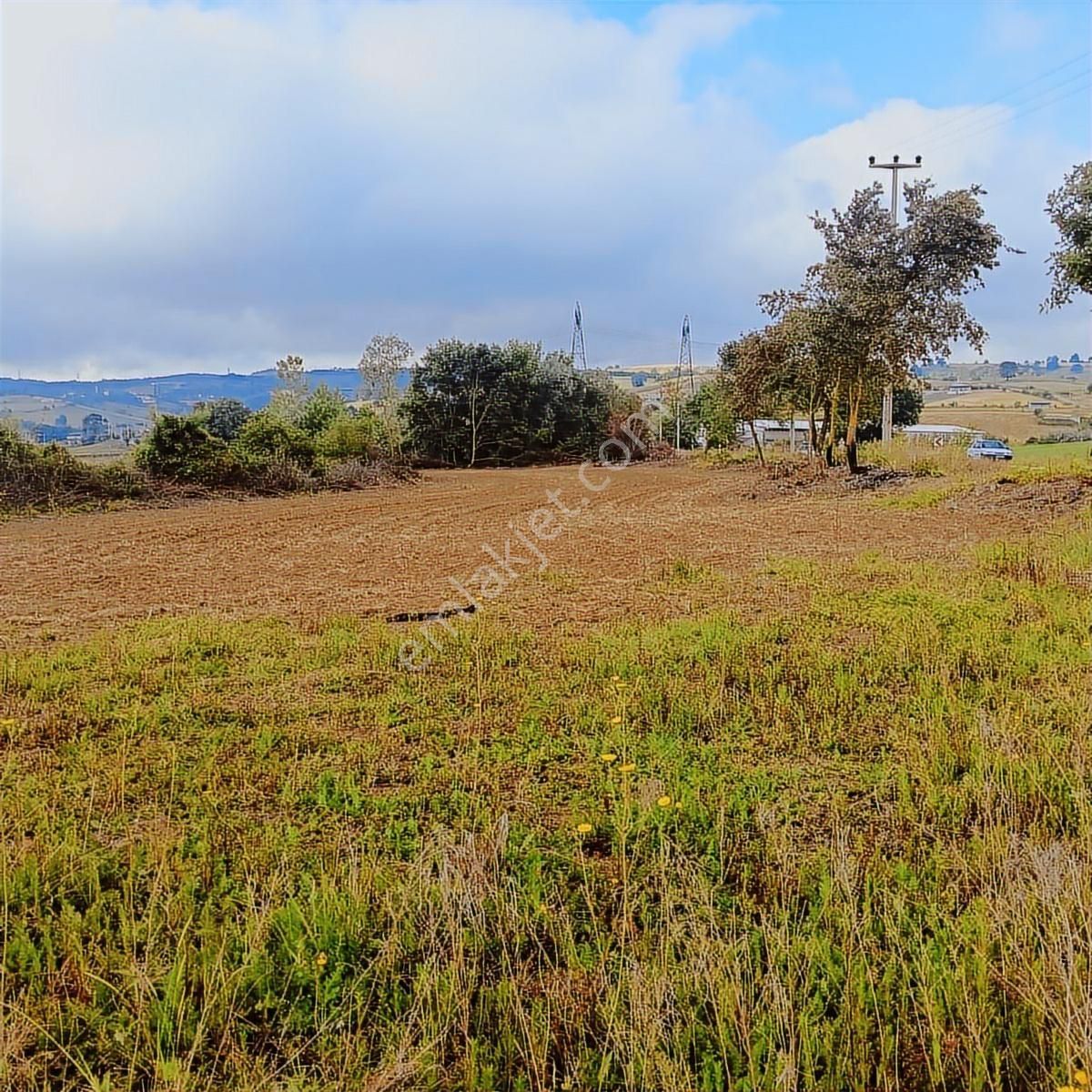 Tarcanlar'dan Satılık Kaşıkçı'da Yola Cephe 4113 Metre Tarla - Görsel 15