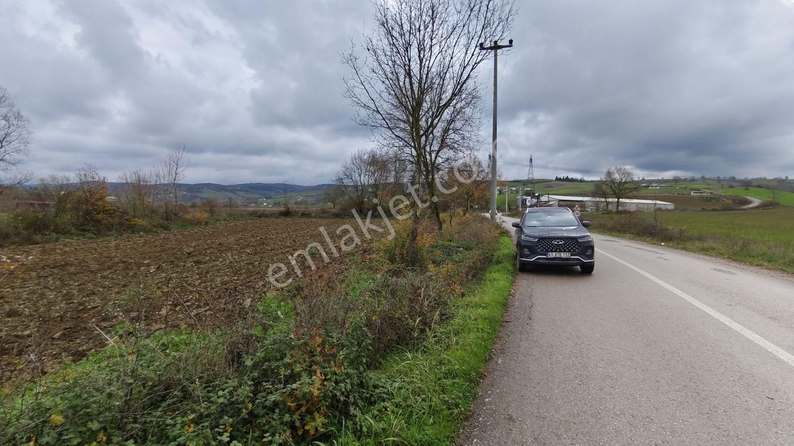 Tarcanlar'dan Satılık Kaşıkçı'da Yola Cephe 4113 Metre Tarla - Görsel 21