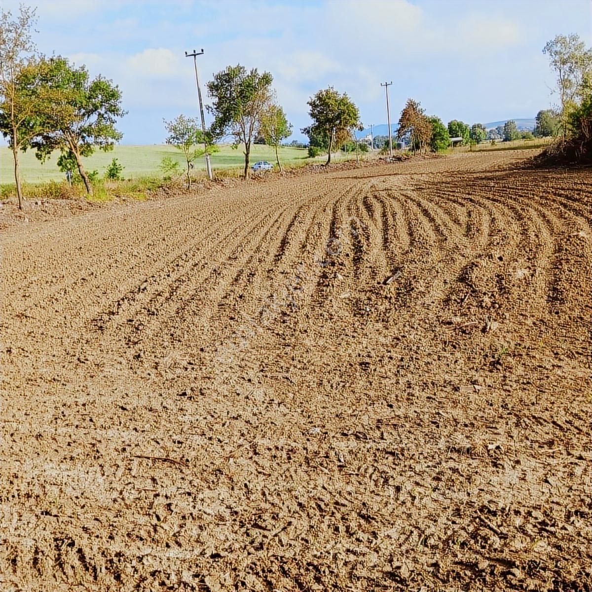 Tarcanlar'dan Satılık Kaşıkçı'da Yola Cephe 4113 Metre Tarla - Görsel 17