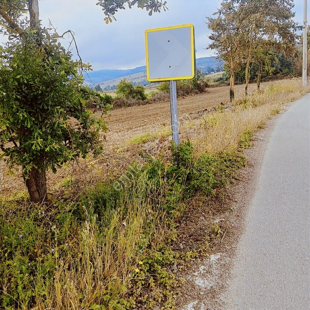 Tarcanlar'dan Satılık Kaşıkçı'da Yola Cephe 4113 Metre Tarla - Görsel 12