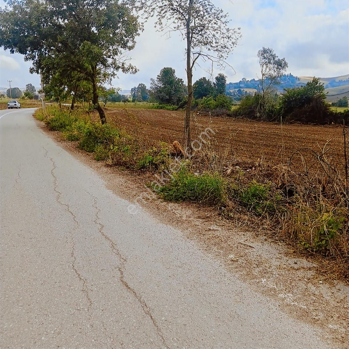 Tarcanlar'dan Satılık Kaşıkçı'da Yola Cephe 4113 Metre Tarla - Görsel 3