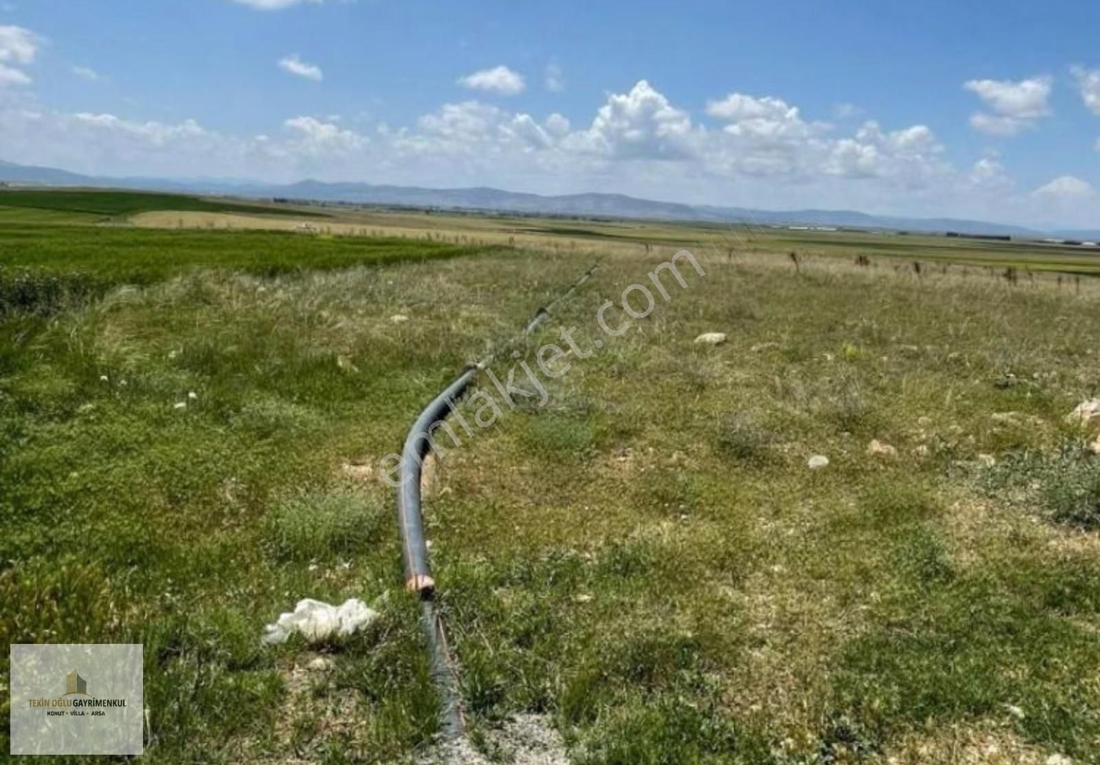 Çumra Alibeyhüyüğü 9.909 M² Müstakil Tapulu Tarım Arazisi - Görsel 11