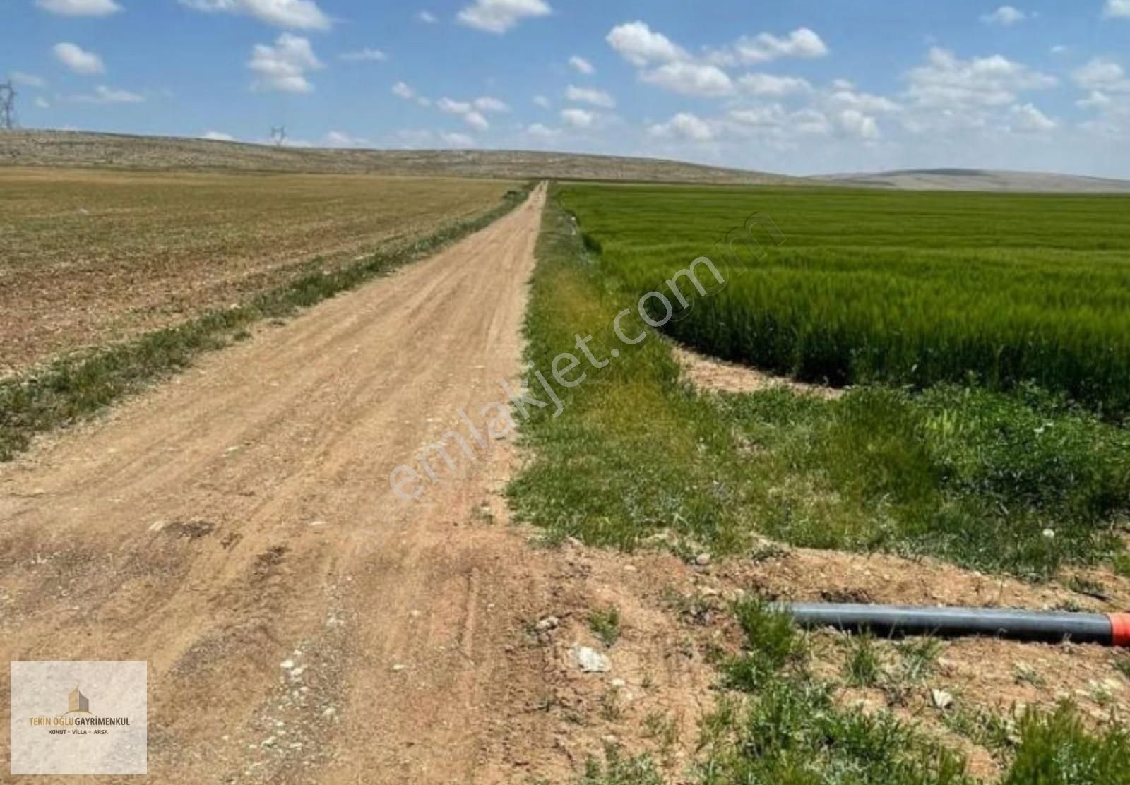 Çumra Alibeyhüyüğü 9.909 M² Müstakil Tapulu Tarım Arazisi - Görsel 8