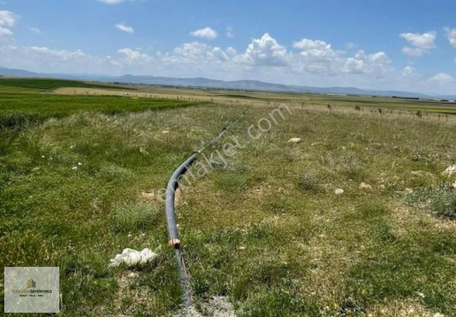 Çumra Alibeyhüyüğü 9.909 M² Müstakil Tapulu Tarım Arazisi - Görsel 14