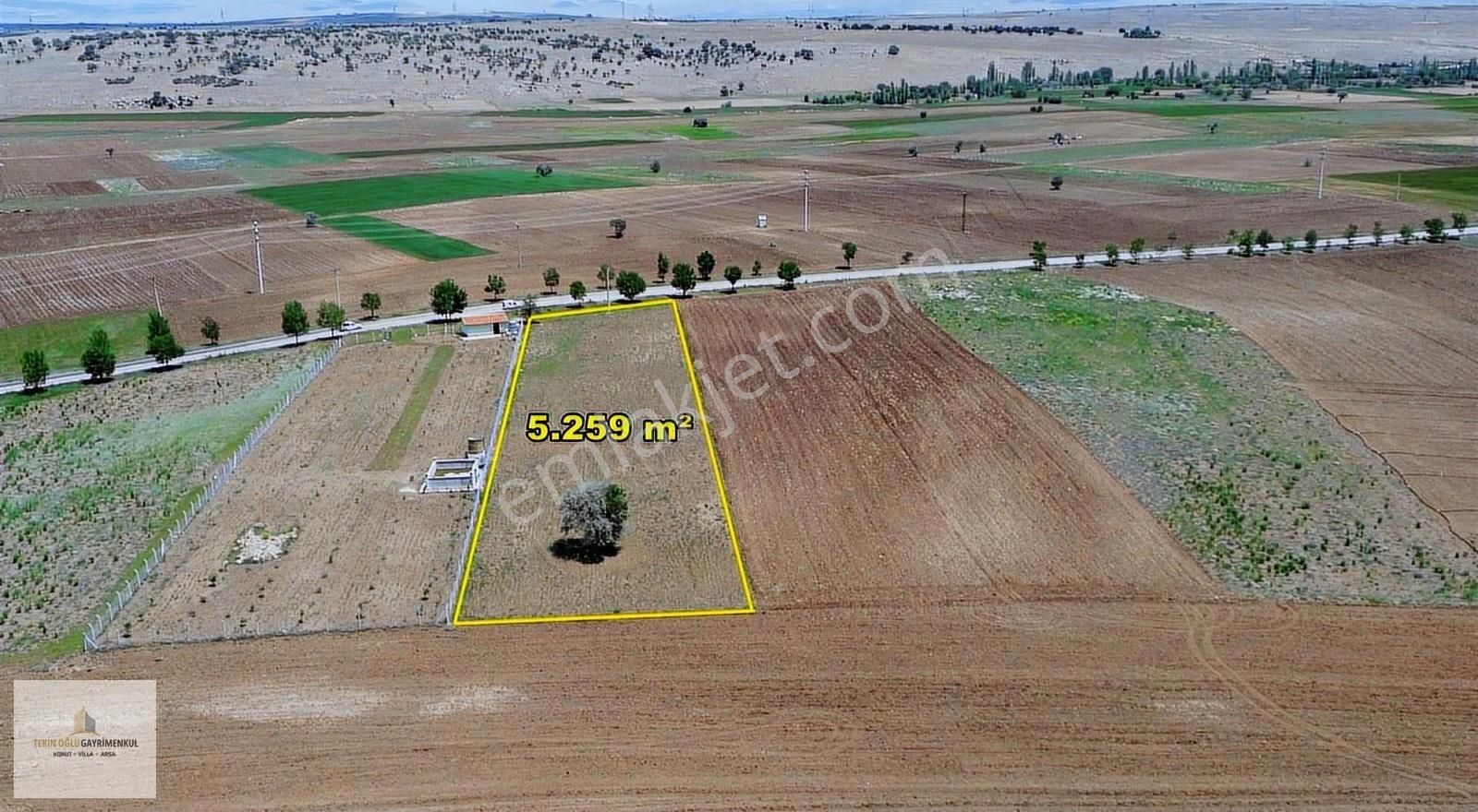 Asvalt Yola Sıfır ! ! Akören Hacılar 5.259 M² Müstakil Tarla - Görsel 16