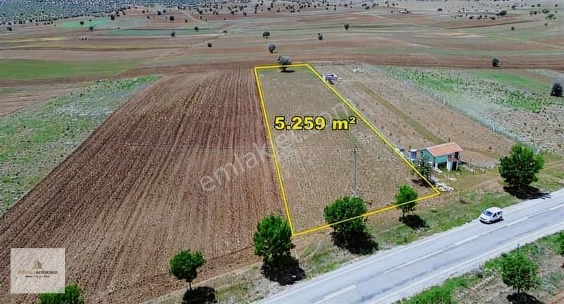 Asvalt Yola Sıfır ! ! Akören Hacılar 5.259 M² Müstakil Tarla - Görsel 3