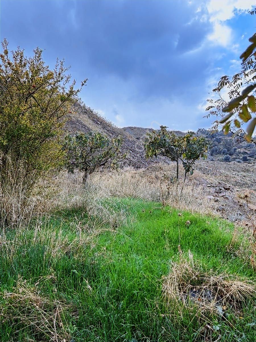 İsabeyli Emlaktan Satılık - Görsel 2