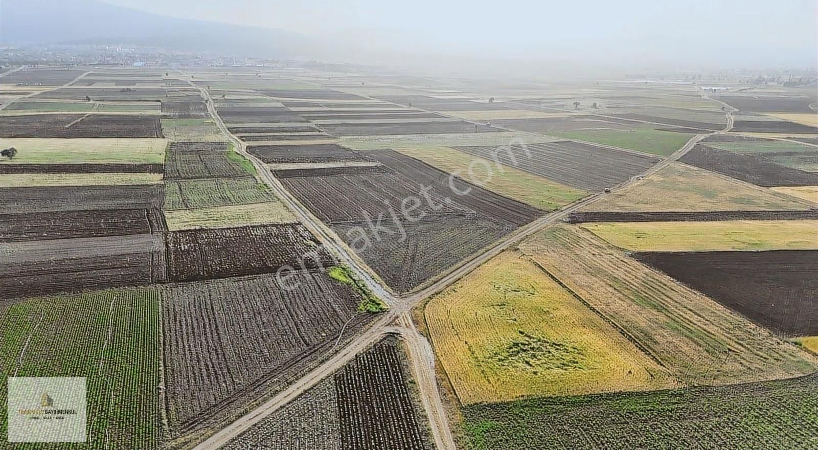 Tarım Ve Yatırıma Uygun | Akören Tülce Kupon 2.974 M² Tarla - Görsel 4