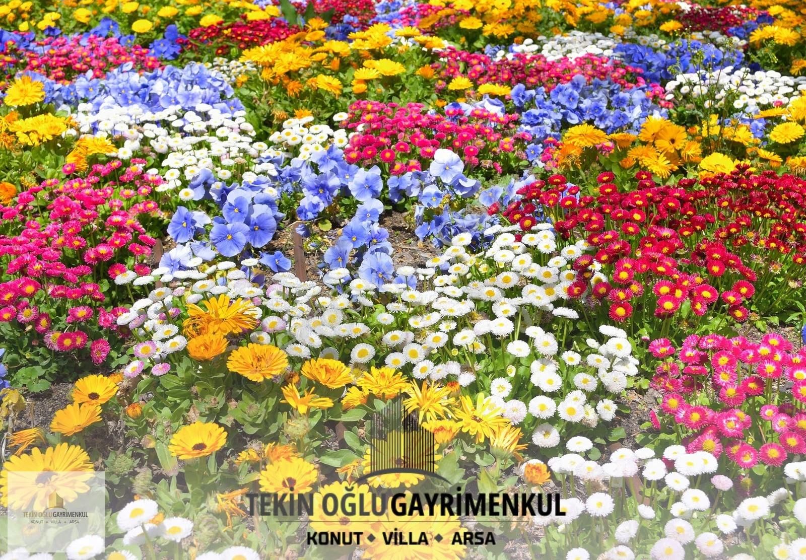 Karadiğinde Geleceğe Yatırım: 1.906 M² Müstakil Tapu - Görsel 4