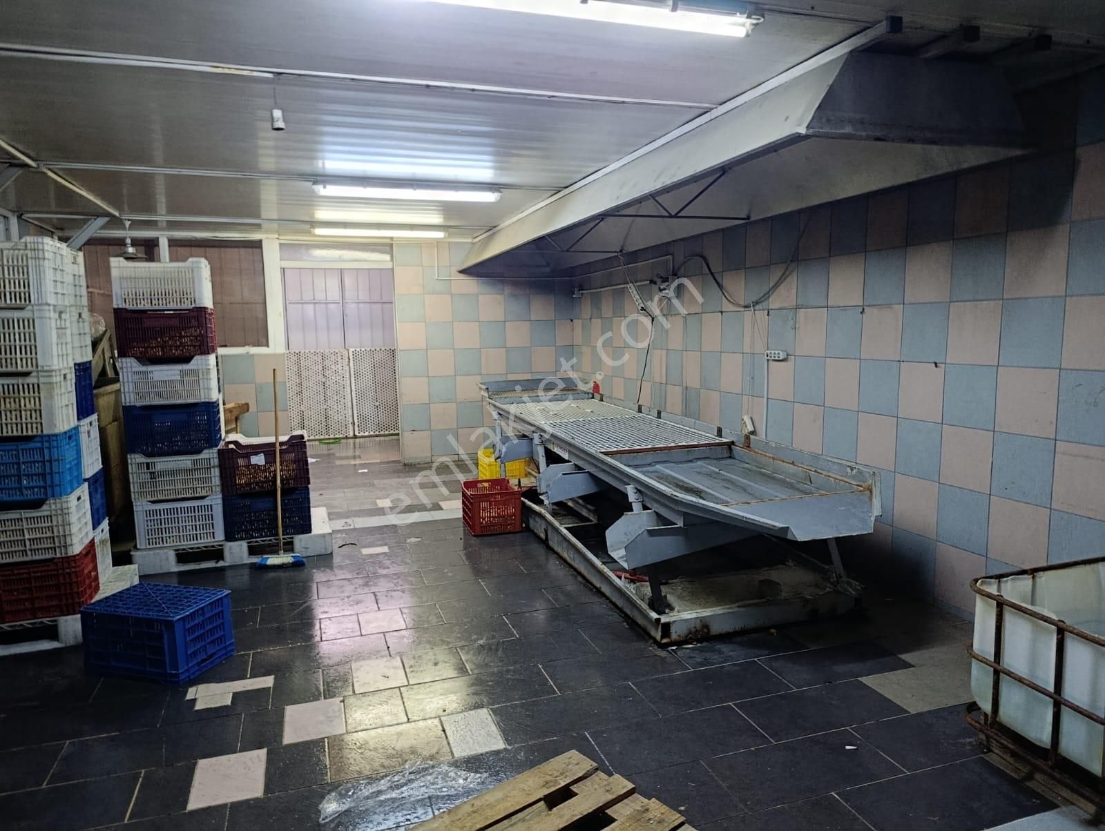 Majestic Manors - Nazilli Yeni Sanayide Satılık 6 Adet Dükkan - Görsel 3