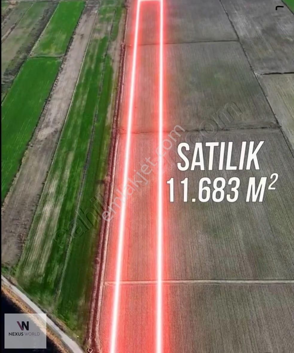 Foça Yenibağarası Gediz Deltası Yanı Satılık Tarla - Görsel 3