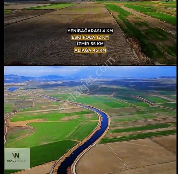 Foça Yenibağarası Gediz Deltası Yanı Satılık Tarla