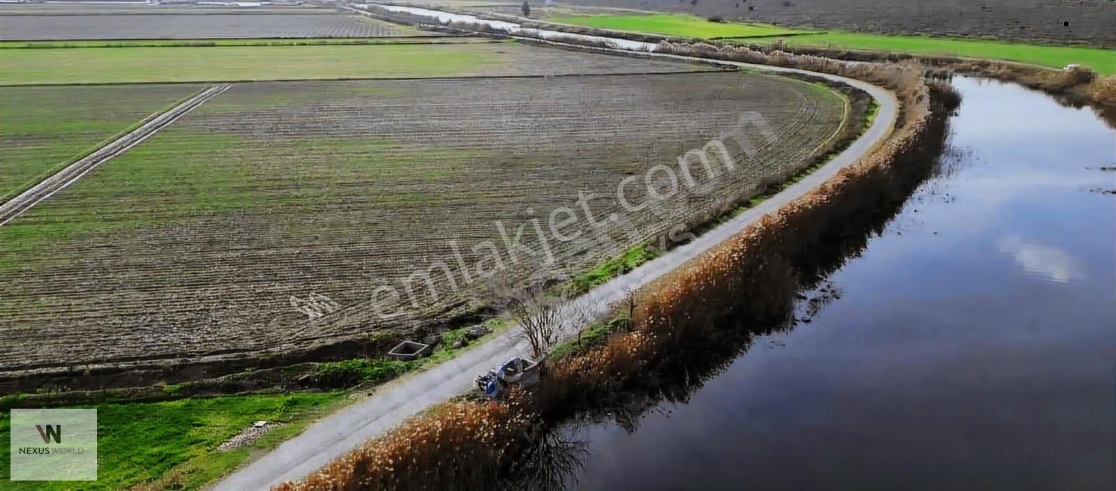 Foça Yenibağarası Gediz Akarsu Yakını Satılık Tarla - Görsel 3