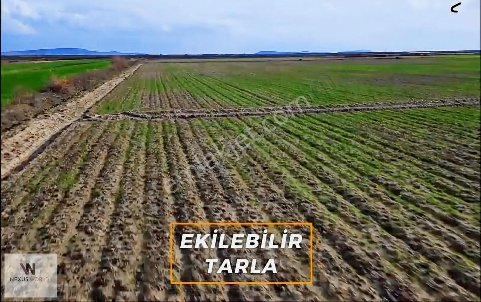 Foça Yenibağarası Gediz Akarsu Yakını Satılık Tarla