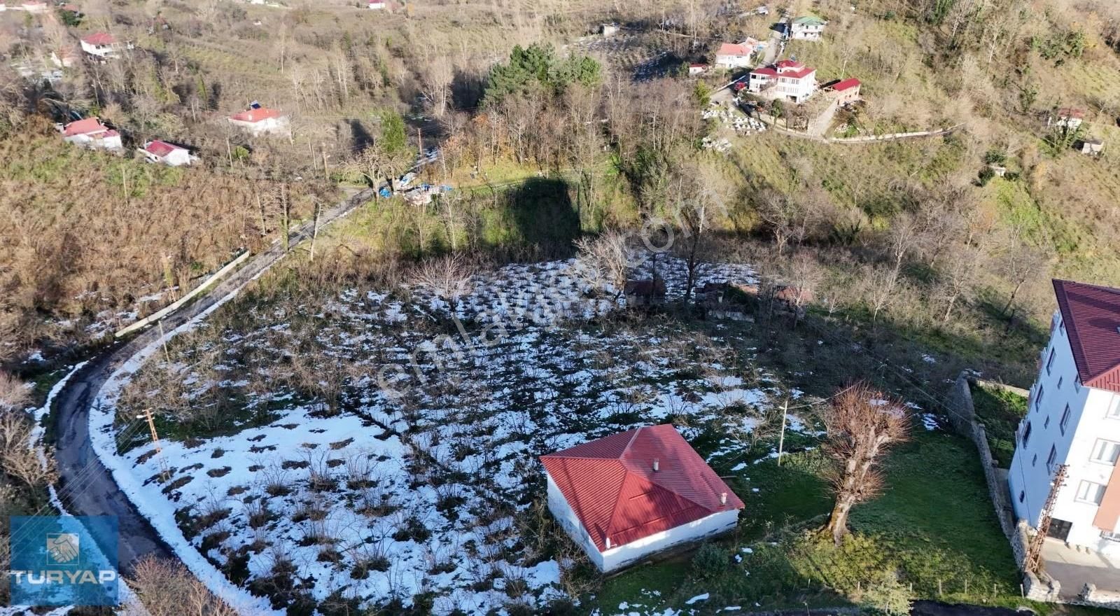 Ordu Perşembe Bekirli Mah. Deniz-doğa Manzaralı Satılık Arsa - Görsel 7