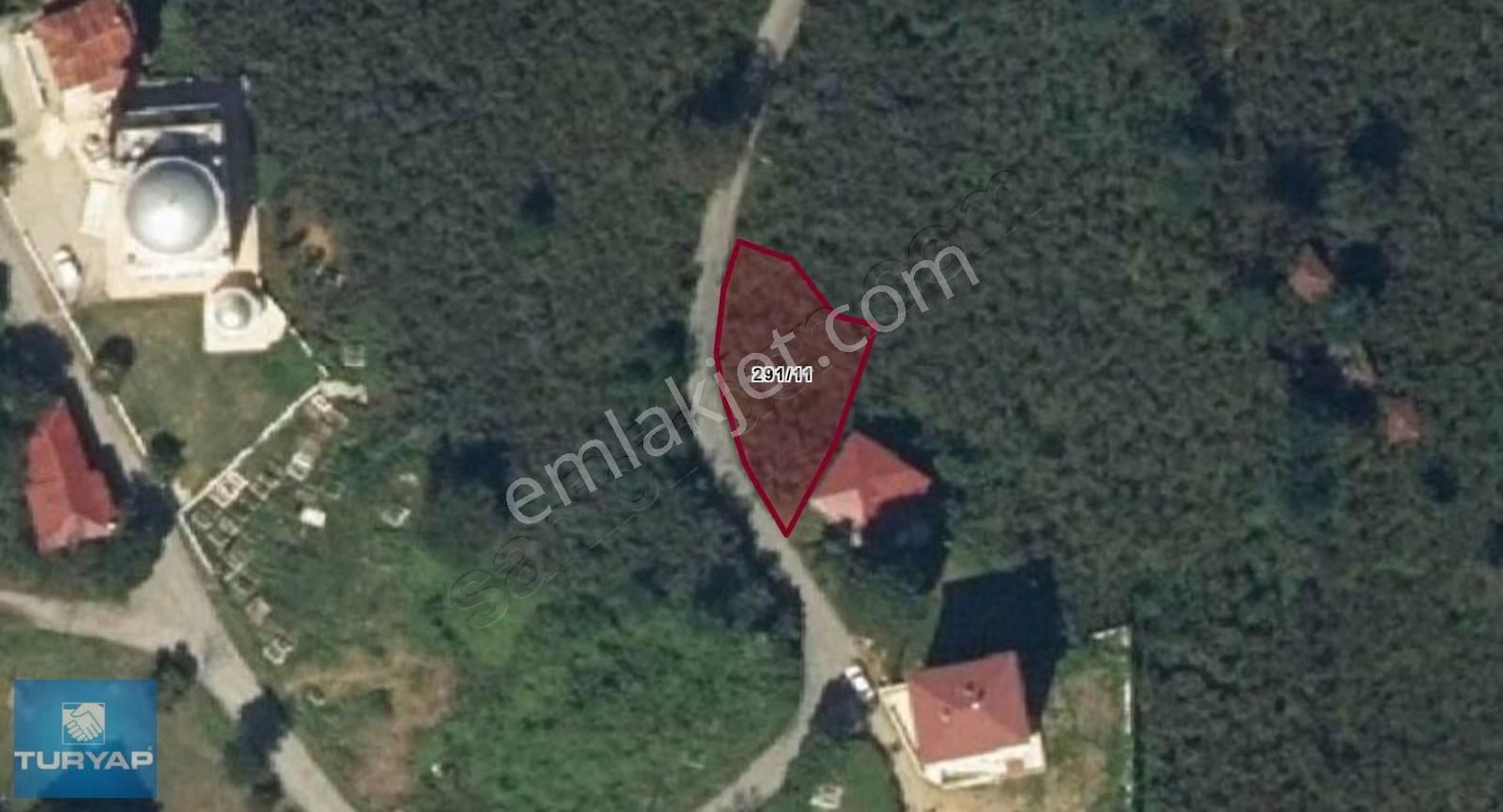 Ordu Perşembe Bekirli Mah. Deniz-doğa Manzaralı Satılık Arsa - Görsel 4