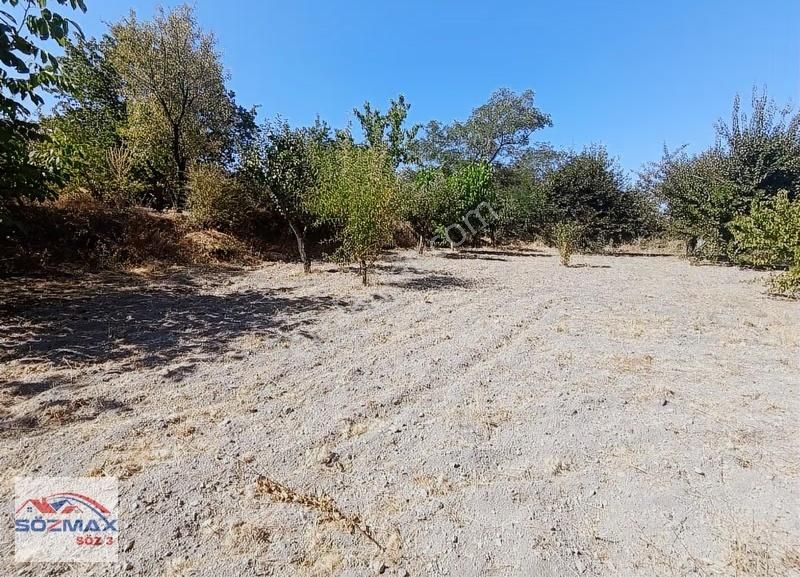 Hacılar Yukarda İmara Girmiş 1215 Metre Satılık Bağ - Görsel 4