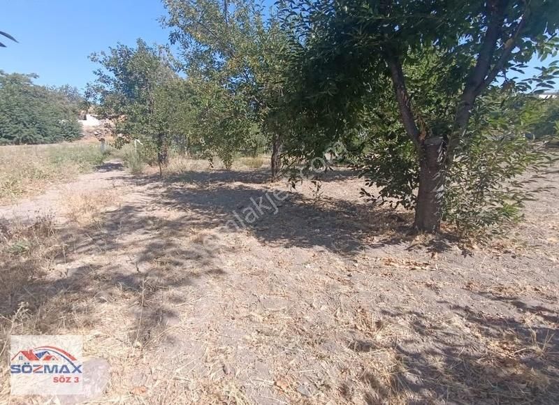 Hacılar Yukarda İmara Girmiş 1215 Metre Satılık Bağ - Görsel 8