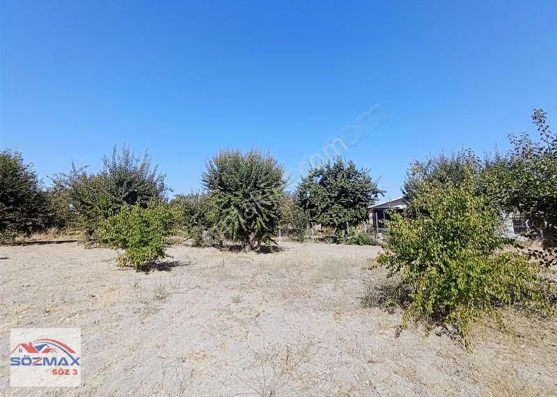 Hacılar Yukarda İmara Girmiş 1215 Metre Satılık Bağ - Görsel 10