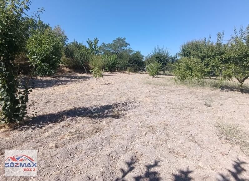 Hacılar Yukarda İmara Girmiş 1215 Metre Satılık Bağ - Görsel 2